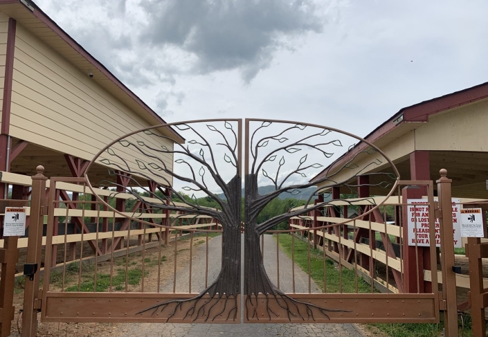 Decorative tree entry gate
